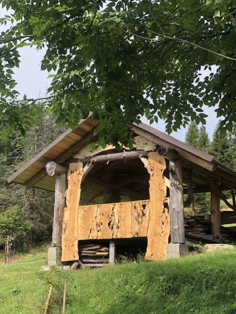 Stara Chalpa Ozna Chalet Sól