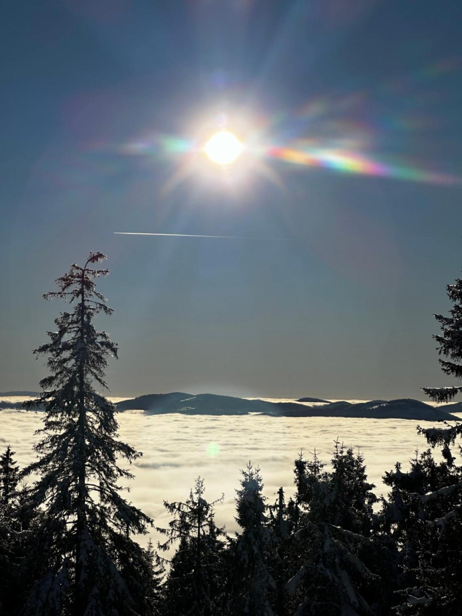 Chalet Stara Chalpa Ozna *